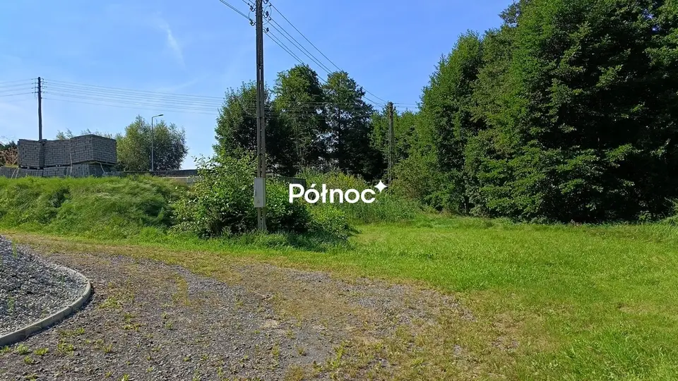 Zdjęcie 2