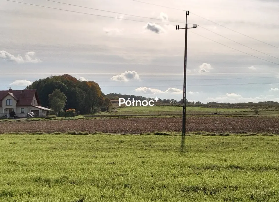 Zdjęcie 2