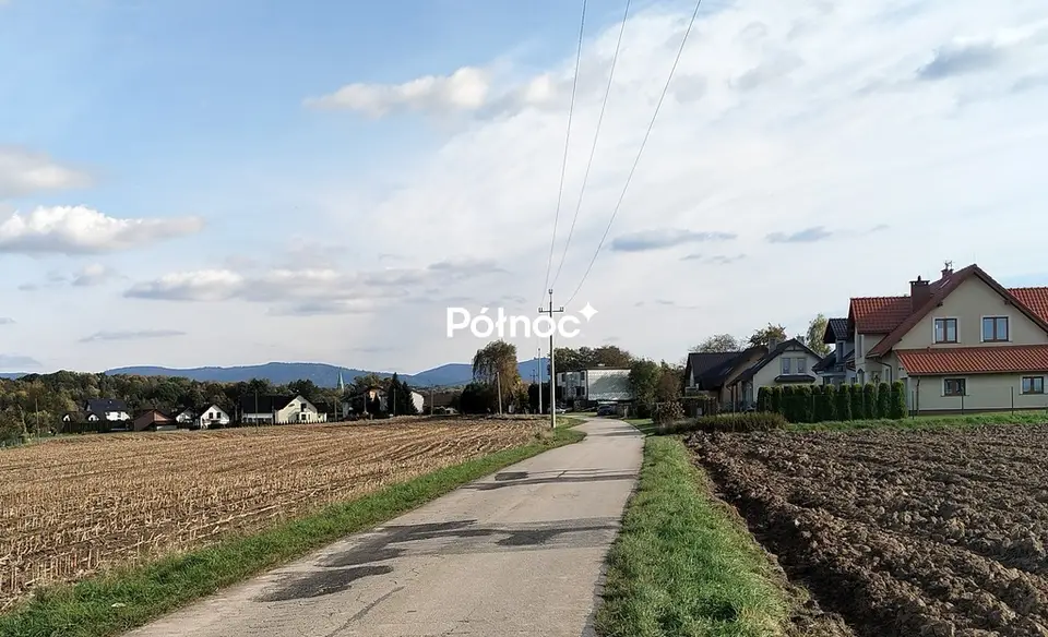 Zdjęcie 3