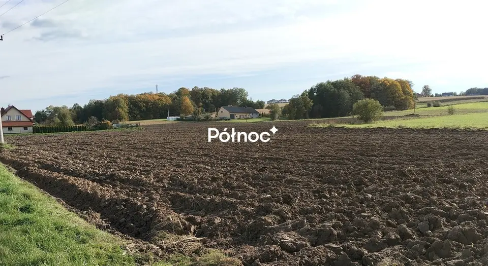 Zdjęcie 4