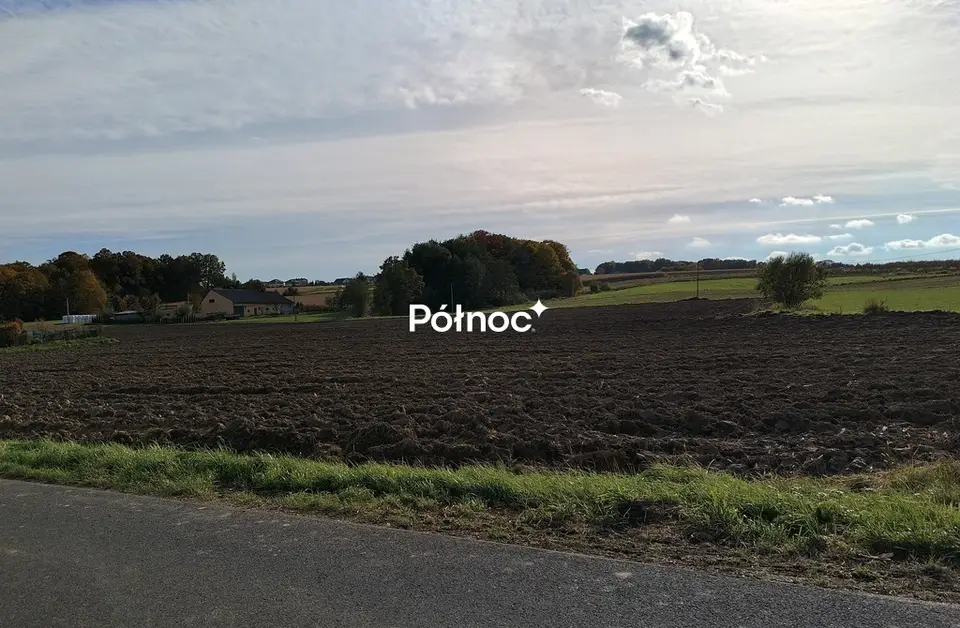 Zdjęcie 5