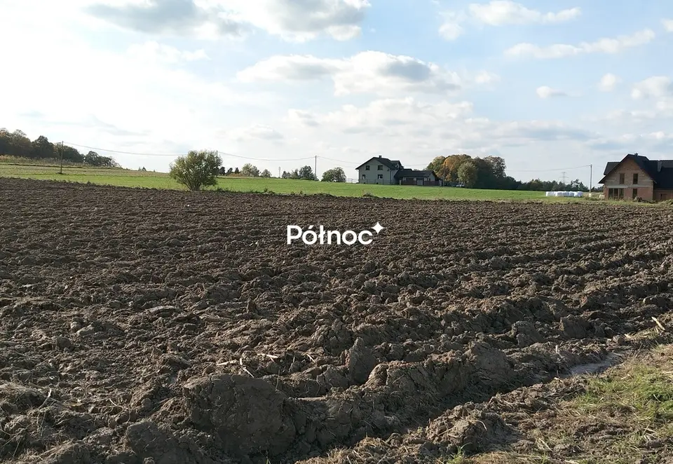 Zdjęcie 6