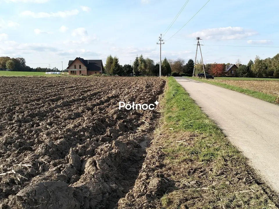 Zdjęcie 7