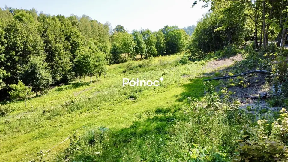 Zdjęcie 5