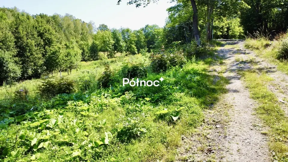 Zdjęcie 7