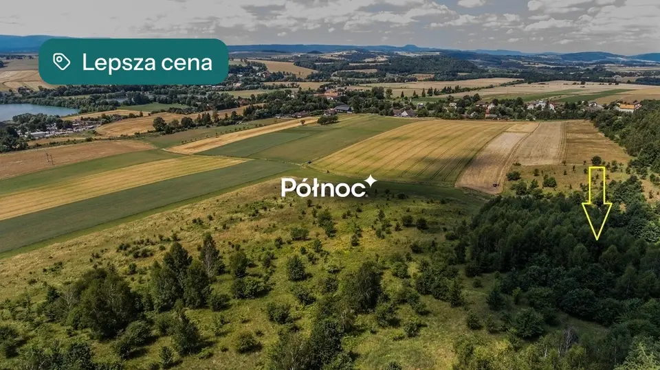 Zdjęcie 3