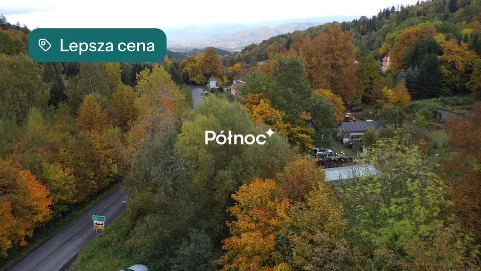 Zdjęcie 3