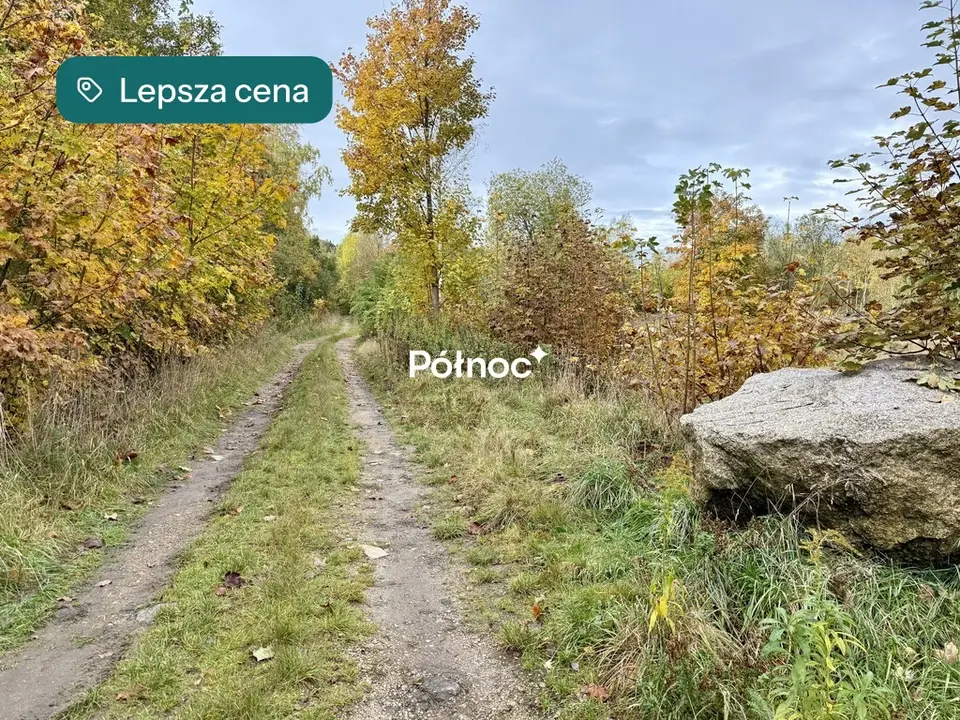 Zdjęcie 8