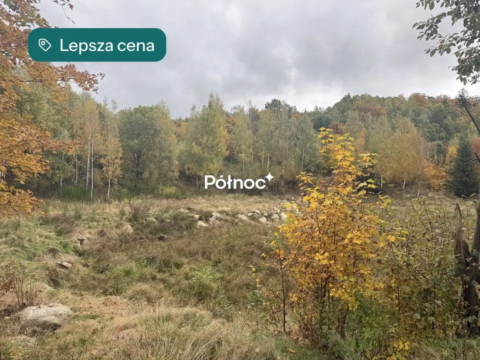 Zdjęcie 12