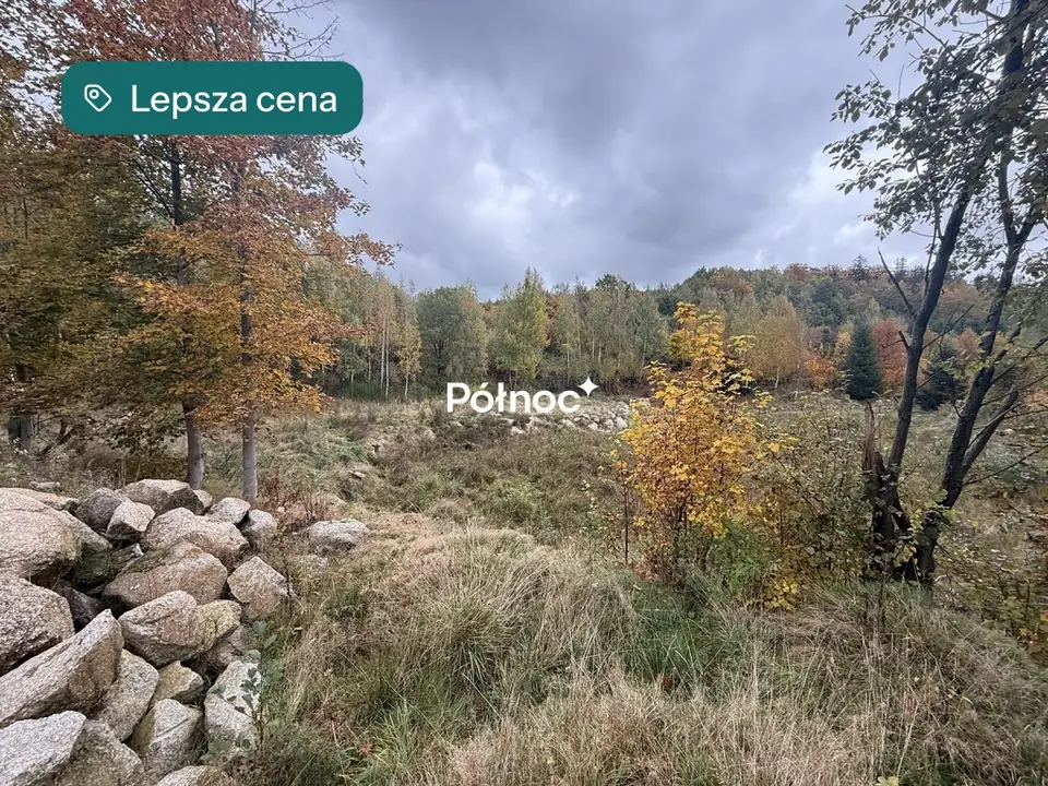 Zdjęcie 13