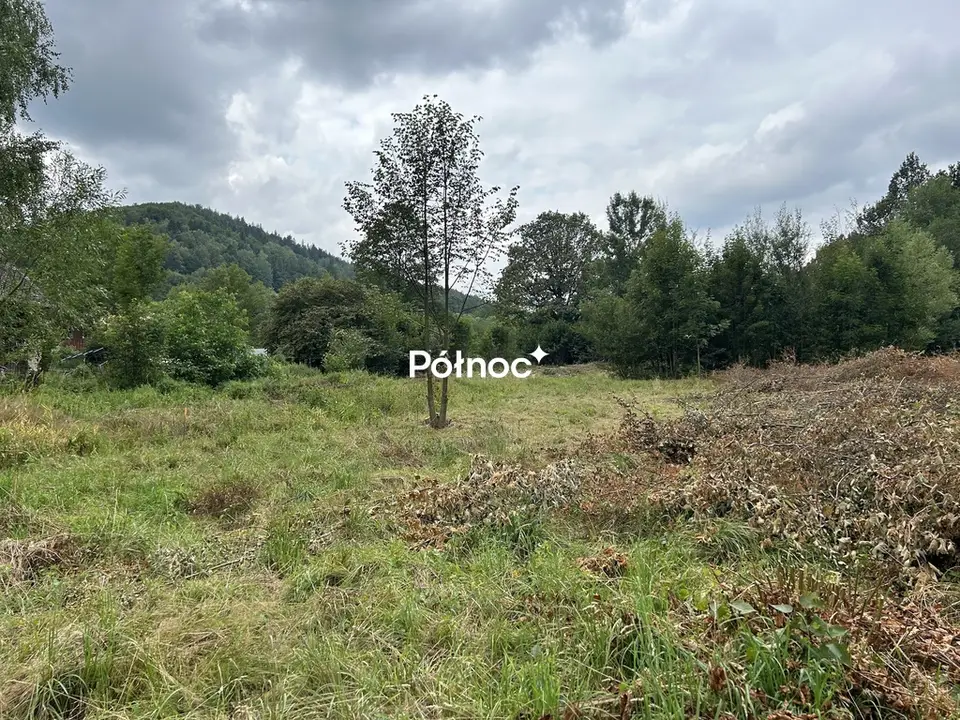 Działka budowlana i inwestycyjna 3 001 m², Piechowice, Górzyniec