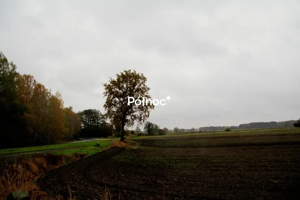 Działka budowlana 5 000 m², Charbice Dolne