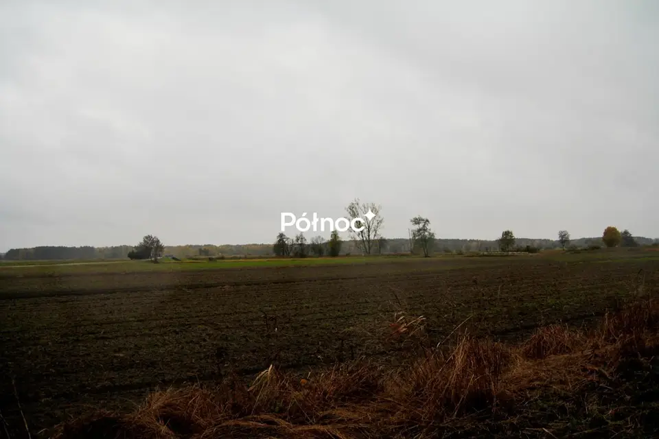 Zdjęcie 2