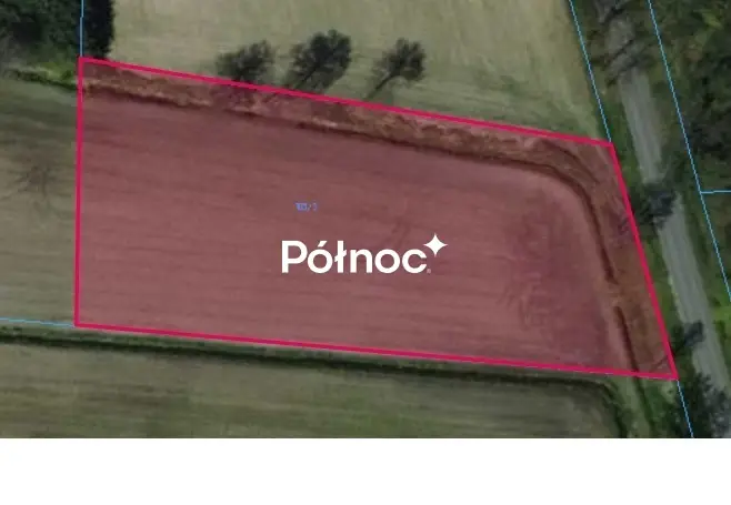 Zdjęcie 3