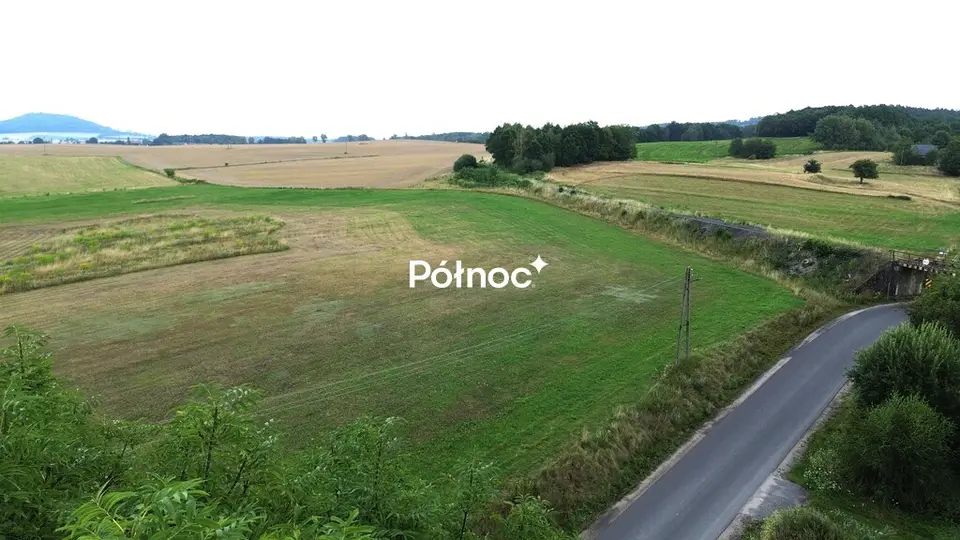 Zdjęcie 3