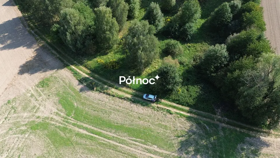 Zdjęcie 3