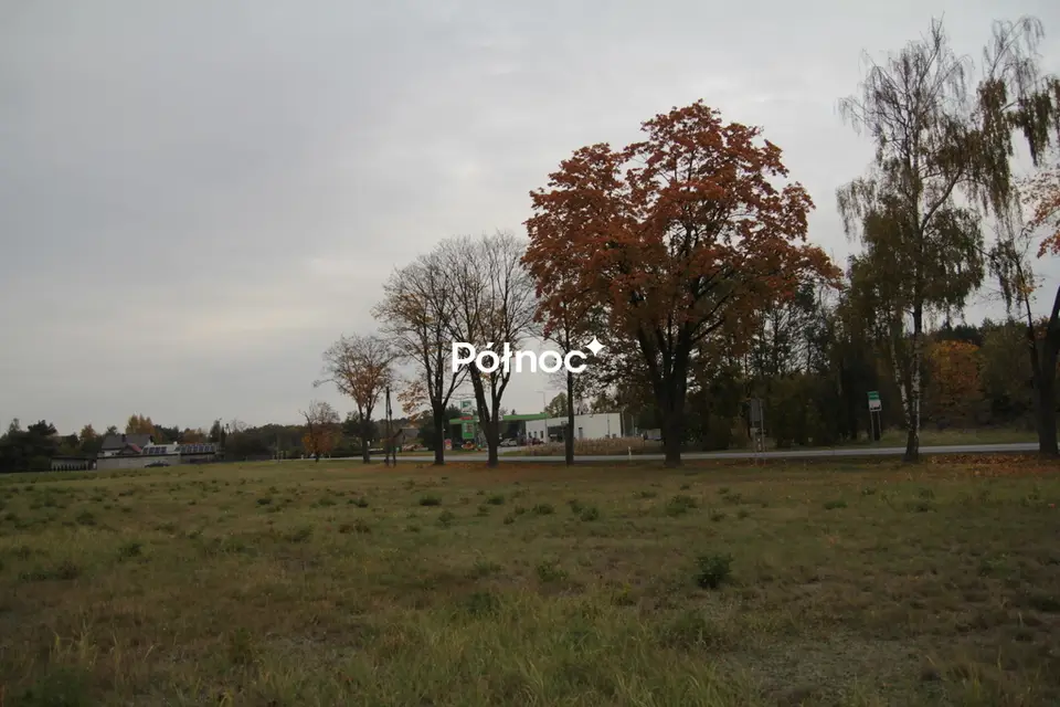 Zdjęcie 4