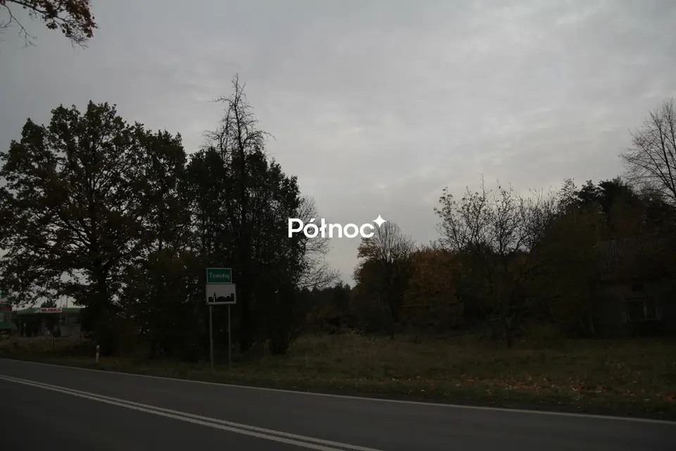 Zdjęcie 5