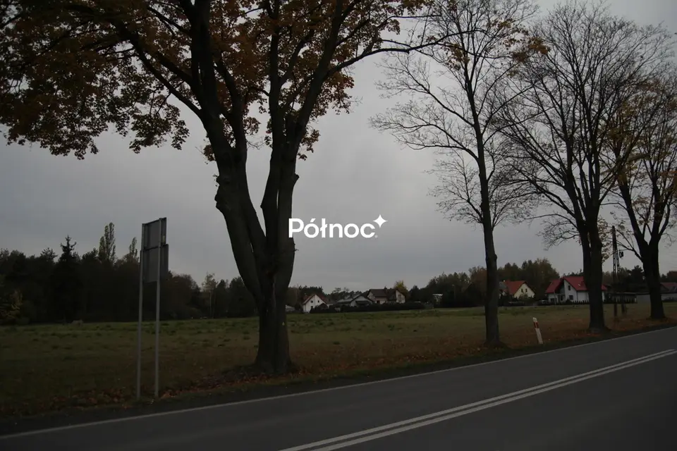 Zdjęcie 7