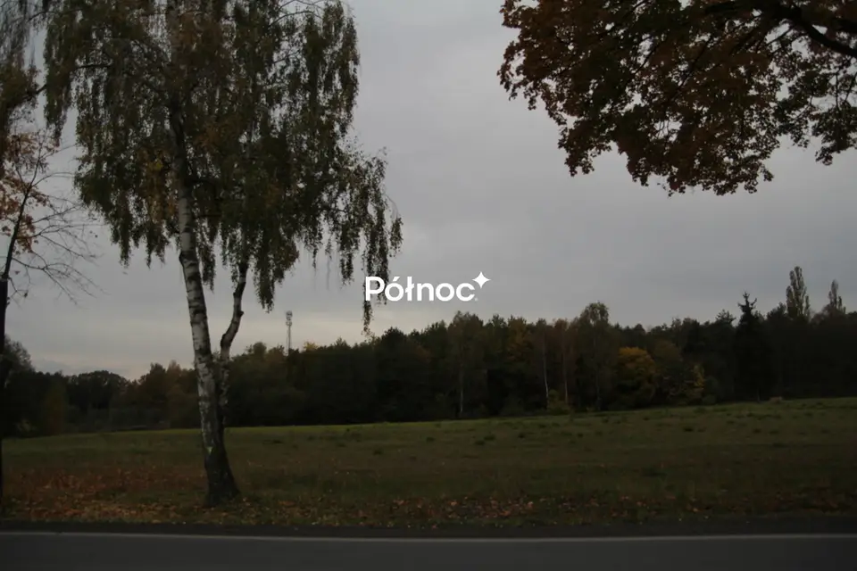 Zdjęcie 8