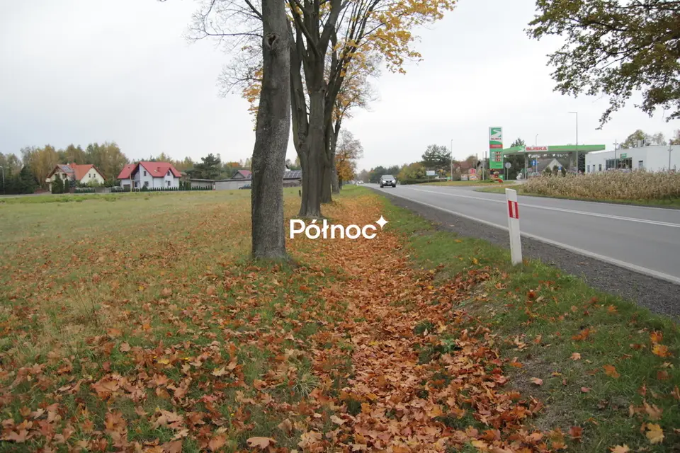 Zdjęcie 9
