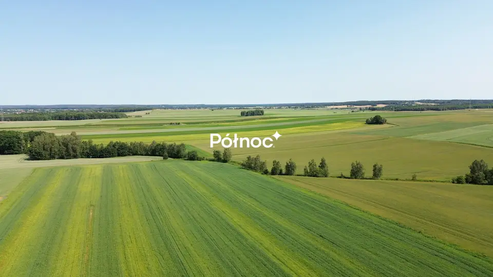 Działka rolna 1 ha, Parzyce