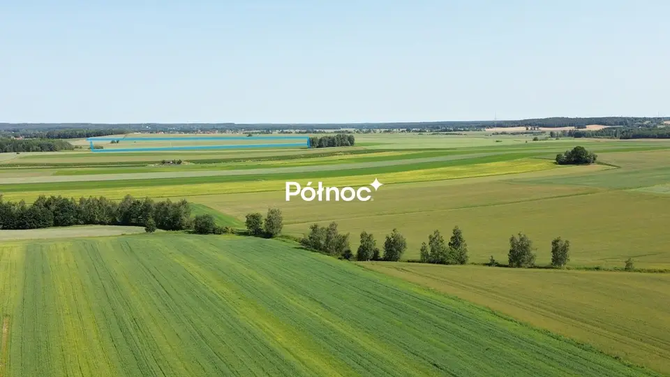 Zdjęcie 2