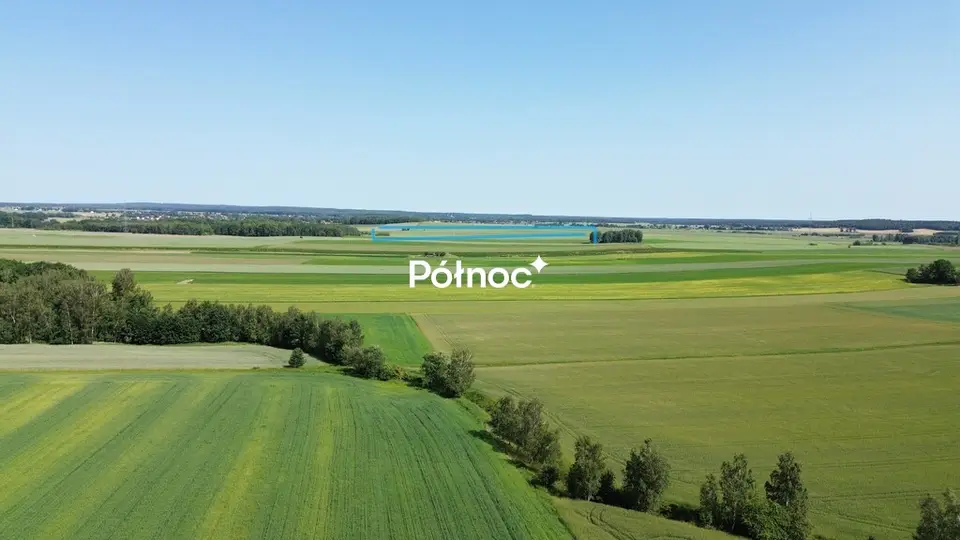 Zdjęcie 3