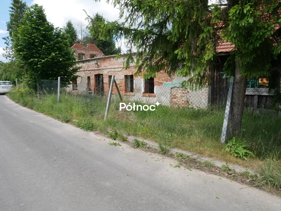 Zdjęcie 8