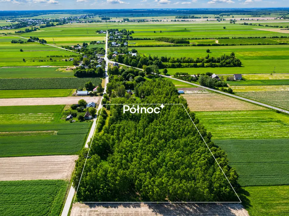 Zdjęcie 4