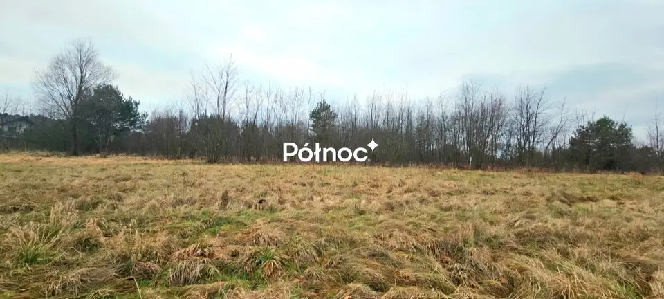 Zdjęcie 3