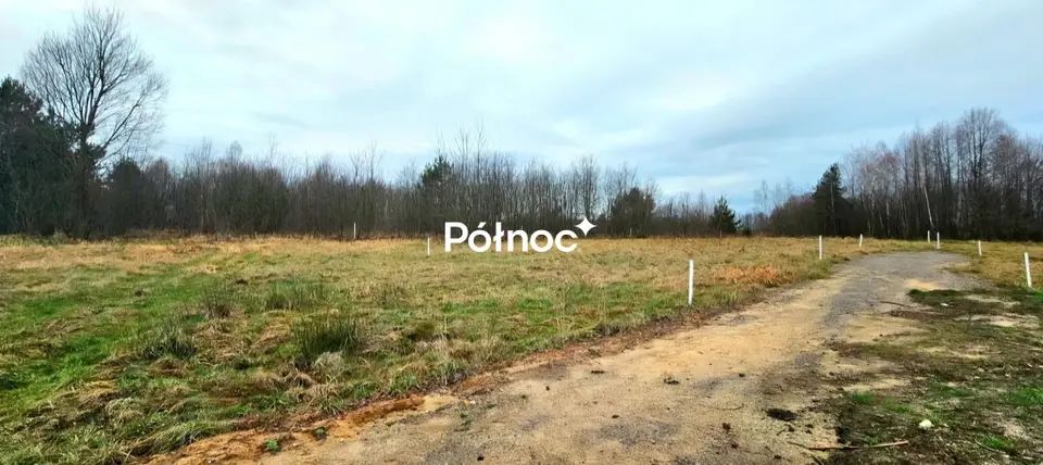 Zdjęcie 5