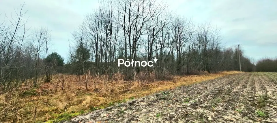 Zdjęcie 6