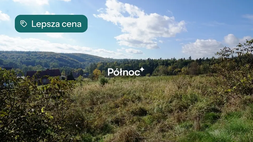 Zdjęcie 5