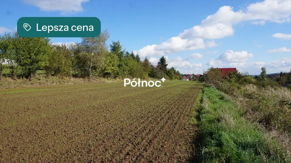 Zdjęcie 6