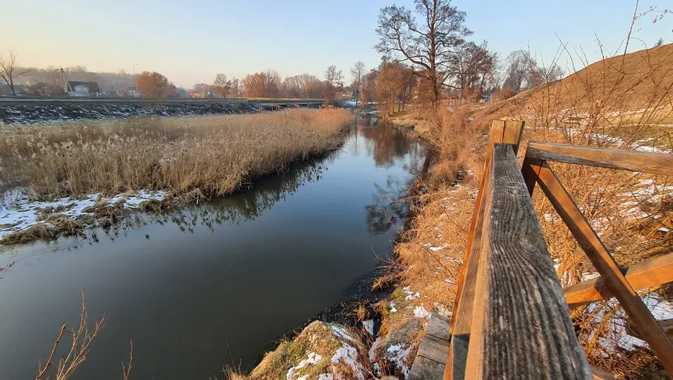 Zdjęcie 9