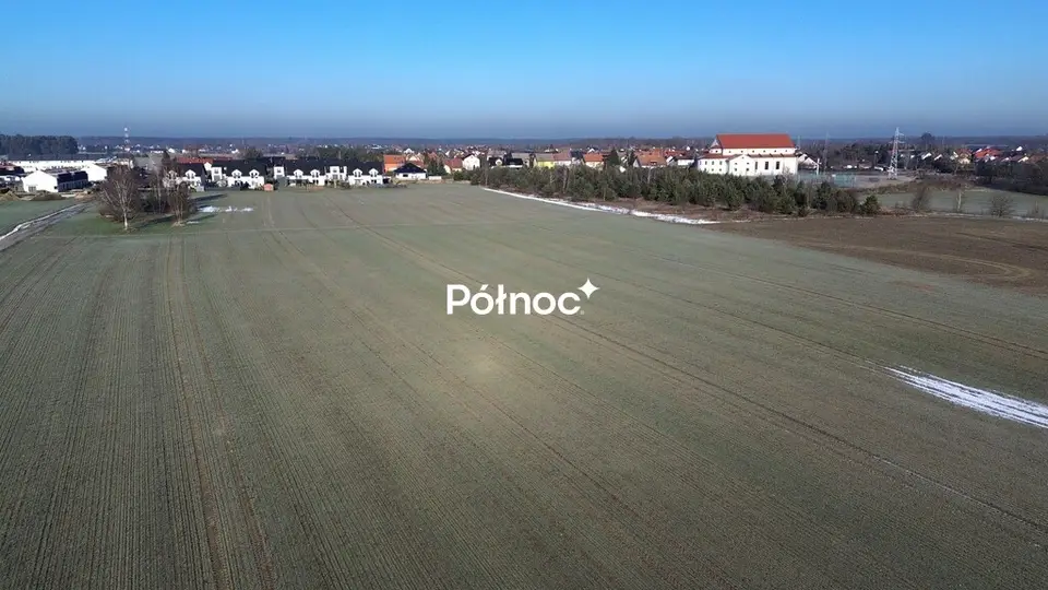 Zdjęcie 5