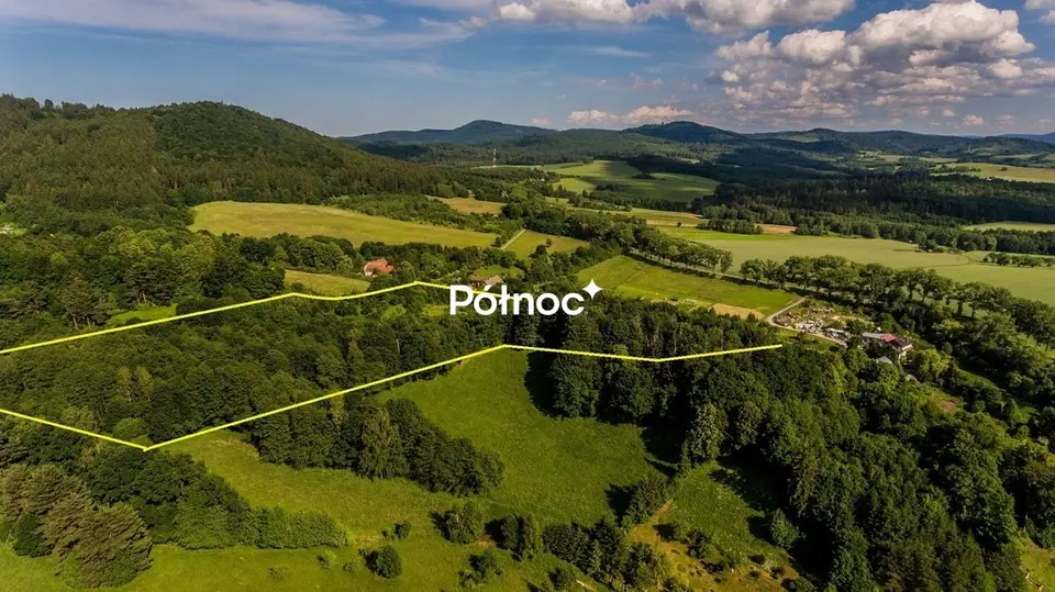 Zdjęcie 5