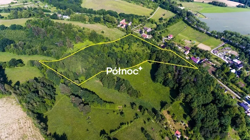 Zdjęcie 6