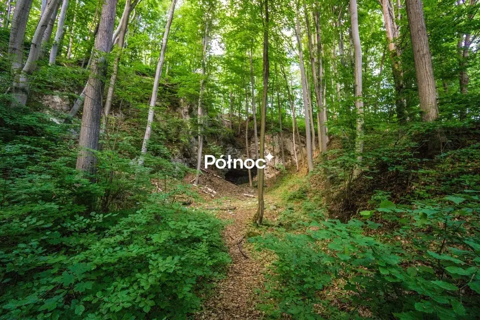 Zdjęcie 8