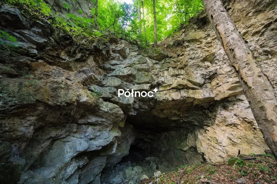 Zdjęcie 9