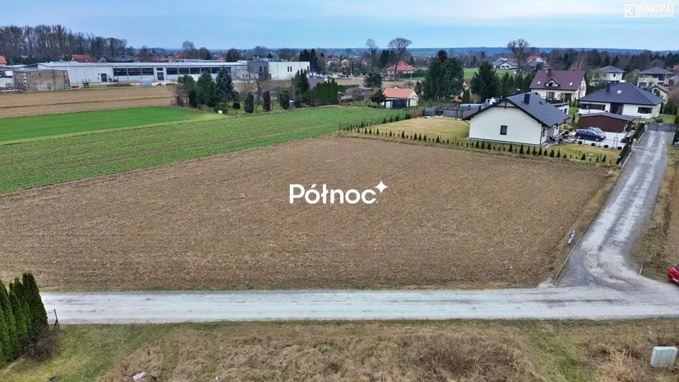 Zdjęcie 2