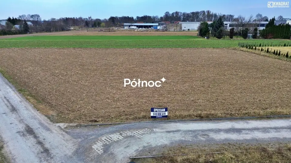 Zdjęcie 3