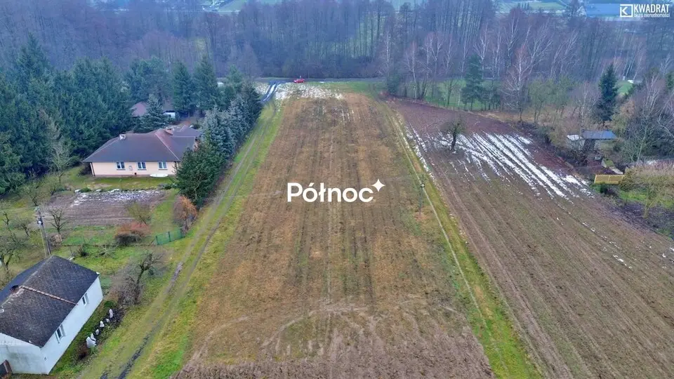 Zdjęcie 2