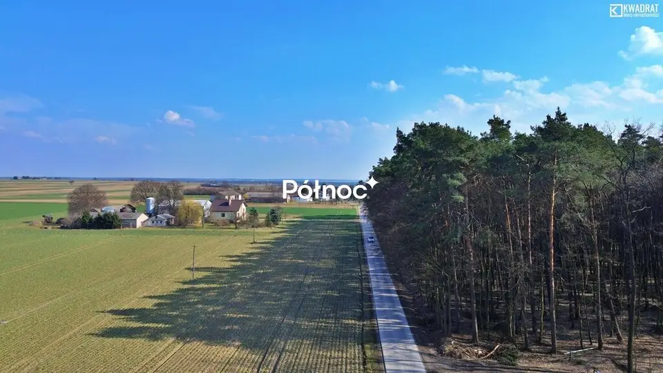 Zdjęcie 2