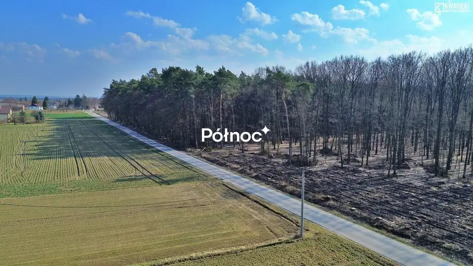 Zdjęcie 7