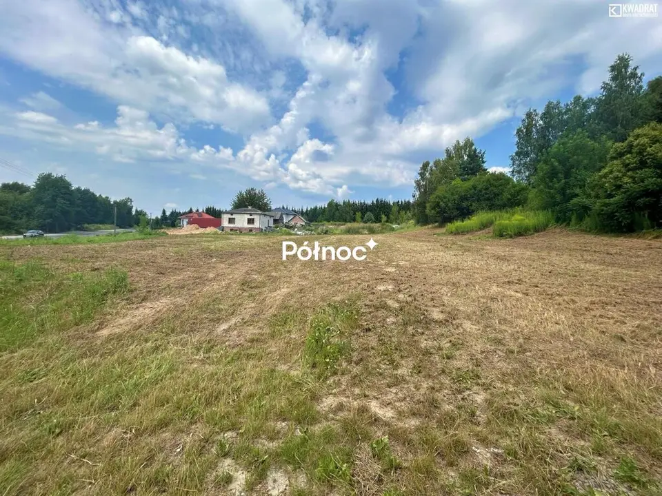 Zdjęcie 3