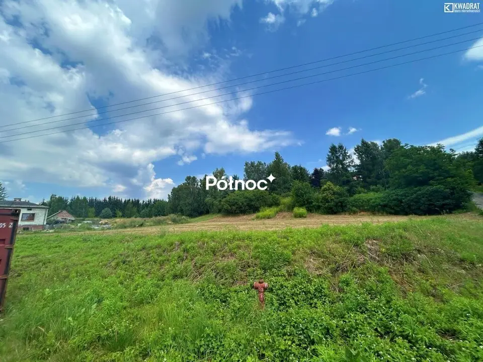 Zdjęcie 5