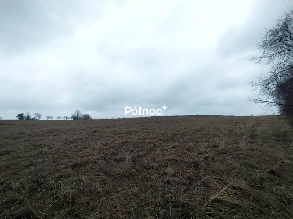 Zdjęcie 3