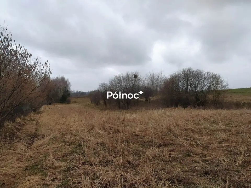 Zdjęcie 2